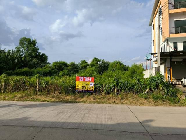 ขายที่ดิน 257 ตร.วา ต. พันท้ายนรสิงห์  ใกล้โรงเรียนอัสสัมชัญสมุทร