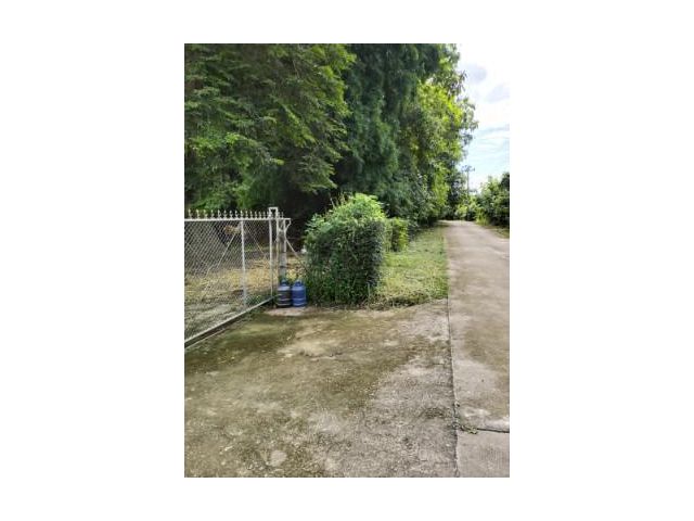 ที่โฉนดครุฑแดง2ไร่