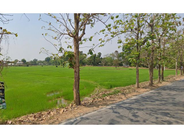 L631 ขายที่ดินเปล่า(วิวทุ่งนา) 17-0-90 ไร่ ต.ป่าป้อง อ.ดอยสะเก็ด จ.เชียงใหม่