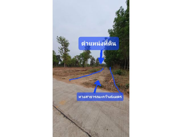 ขายที่ดินกาฬสินธุ์ อ.กุฉินารายณ์ ท้ายหมู่บ้านแจนแลน ที่ดินโฉนดครุฑแดง5ไร่ ราคา4แสนบาท หากต้องการซื้อน้อยกว่า5ไร่ สามารถแ