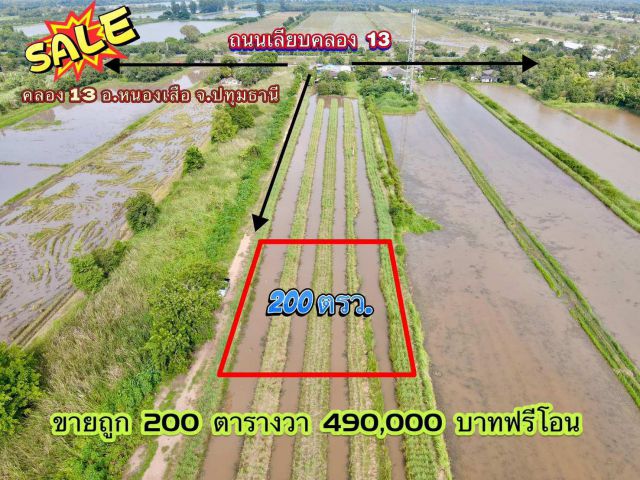 ️ที่ดินแปลงเล็ก เหมาะทำบ้านสวน  คลอง 13 อ.หนองเสือ จ.ปทุมธานี