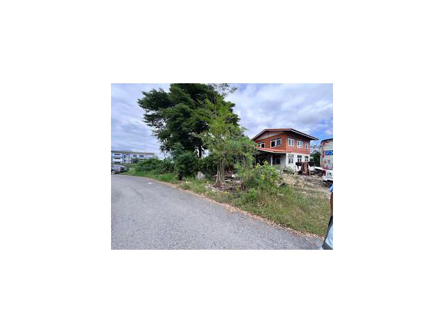 ขายบ้านพร้อมที่ดินติดถนน