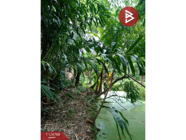 ขายที่ดิน เนื้อที่ 2 งาน 9.1 ตร.วา ตลิ่งชัน กรุงเทพมหานคร