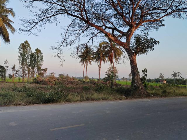 ขายที่ดินหน้ากว้าง รูปทรงชายธง ทำเลดีมาก – ต.ย่านยาว อ.เมือง จ.พิจิตร