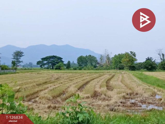 ขายที่ดิน เนื้อที่ 3 ไร่ 3 งาน 85 ตร.วา เทิง เชียงราย