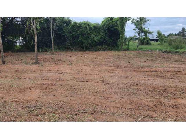 ขายถูก ๆ 138 ตรว.หน้าเทวาลัยศรีคชานัน ถมดินพร้อม 2.9 บาทเอง