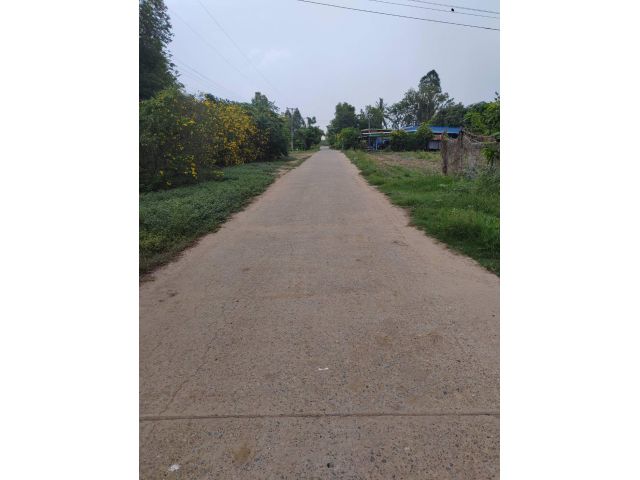 ขายที่ดินเปล่า ติดถนน ทำเลดี อำเภอโพทะเล​ จังหวัดพิจิตร​