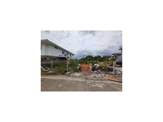 ขายถูก ที่ดินใกล้รถไฟฟ้าสายสีม่วง 103 ตารางวา แปลงมุม  ติดถนนคอนกรีตสาธารณะ ซอยวัดไผ่เหลือง อ.บางบัวทอง จ.นนทบุรี