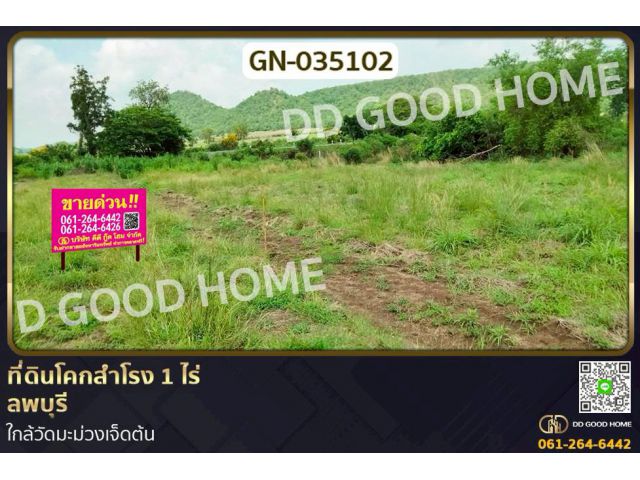 GN-035102 ที่ดินโคกสำโรง 1 ไร่ ลพบุรี ใกล้วัดมะม่วงเจ็ดต้น
