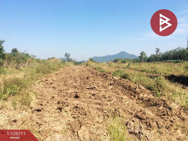 ขายที่ดินเปล่า เนื้อที่ 8 ไร่ 13 ตารางวา สอยดาว จันทบุรี