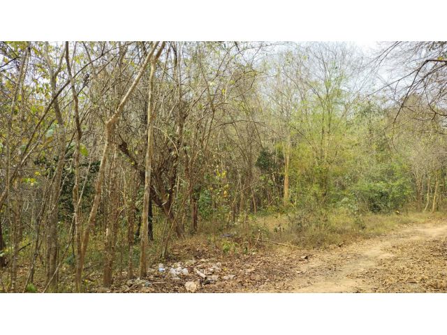 ขายที่ดิน (ภบท.5.).เนื้อที่ 1750-ไร่ไร่ละ28000-อ.ปากท่อ จ.ราชบุรี.เหมาทำสวนผสม/ฟาร์มเลี้ยงสัตว์/ทำไร่ต่างๆได้หมด.ถูกสุดๆ