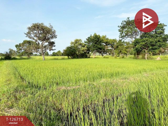 ขายที่ดิน เนื้อที่ 5 ไร่ 3 งาน 49.1 ตร.วา เขื่องใน อุบลราชธานี