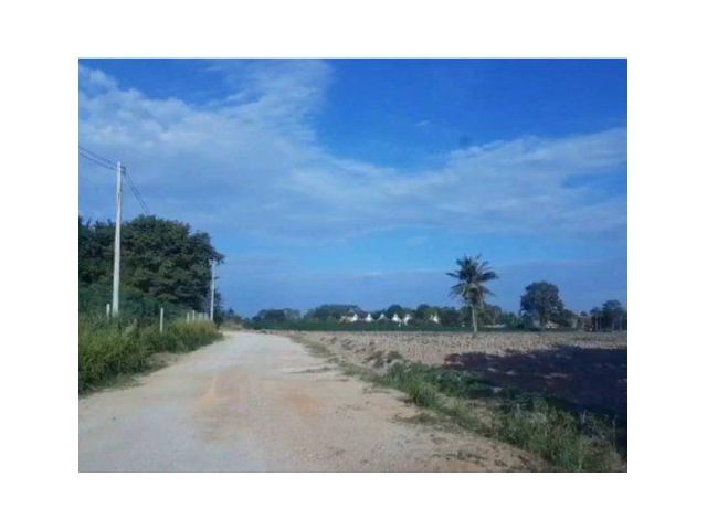 ขายที่ดิน 12 ไร่ ซอยหนองปลาไหล10 เมืองพัทยา อ.บางละมุง จ.ชลบุรี