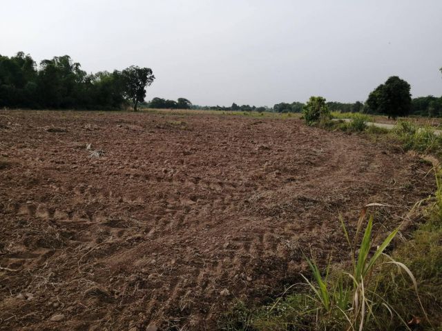 ขายที่ดิน 2 แปลง 51 ไร่ เเละ 22 ไร่ ต.หาดทนง อ.เมือง