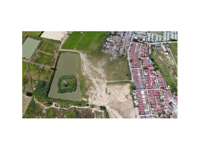 ขายที่ดิน 38 ไร่ ติดหมู่บ้านร่มเย็น ต.วัดไทร อ.เมืองนครสวรรค์ จ.นครสวรรค์