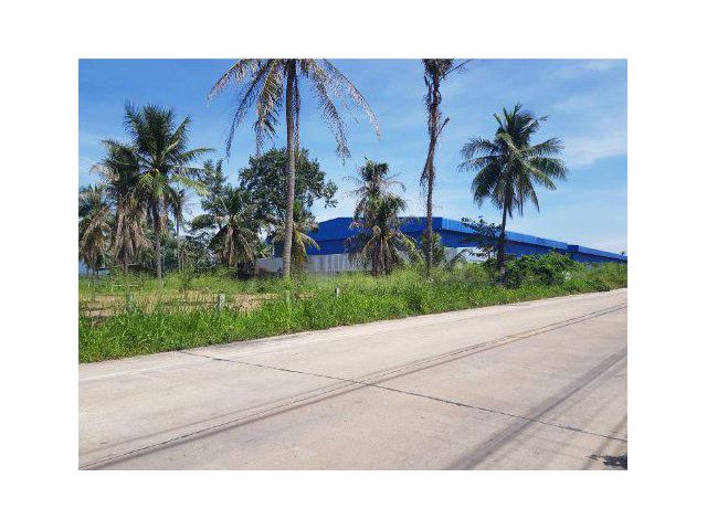 ขายที่ดิน 5 ไร่ ใกล้ถนนมอเตอร์เวย์ ใกล้แยกแม่กิมบ๊วย ต.บางพระ อ.ศรีราชา จ.ชลบุรี