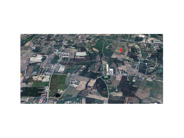 ขายที่ดิน 96 ไร่ มาบเอื้อง ต.หนองบอนแดง อ.บ้านบึง จ.ชลบุรี