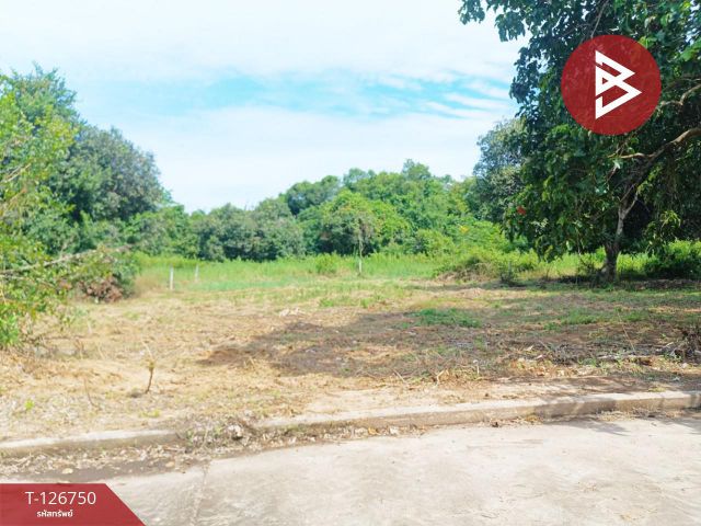 ขายที่ดิน เนื้อที่ 2 งาน แกลง ระยอง