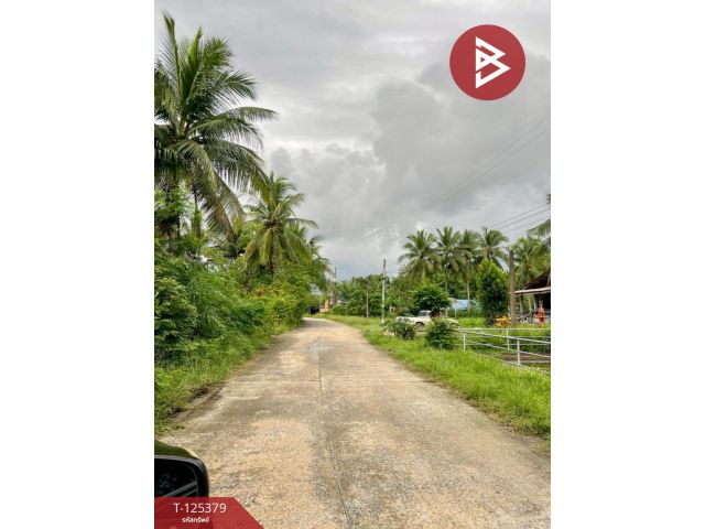 ขายที่ดิน เนื้อที่ 7 ไร่ 1 งาน 3 ตร.วา เชียรใหญ่ นครศรีธรรมราช