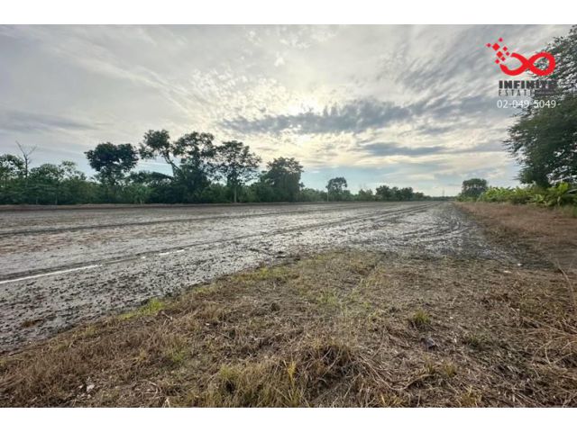 ขายที่ดิน 5 ไร่ คลองสิบสองฝั่งตะวันออก หนองจอก เหมาะสร้างโรงงาน/โกดัง