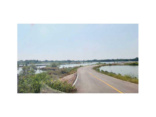 ขายที่ดิน 64 ไร่ ต.บางแก้ว อ.เมืองสมุทรสงคราม จ.สมุทรสงคราม