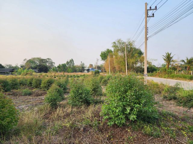 L1003 ขายที่ดิน 15 ไร่ พนัสนิคม ชลบุรี
