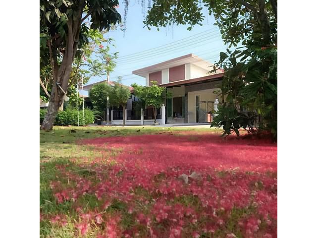 ให้เช่าบ้านใกล้อมตะซิตี้พานทองชลบุรี สิรัชชา พาร์ค