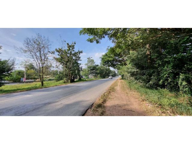 ขายที่ดิน 10 ไร่ ติดถนน 304 ต.ภูหลวง อ.ปักธงชัย จ.นครราชสีมา