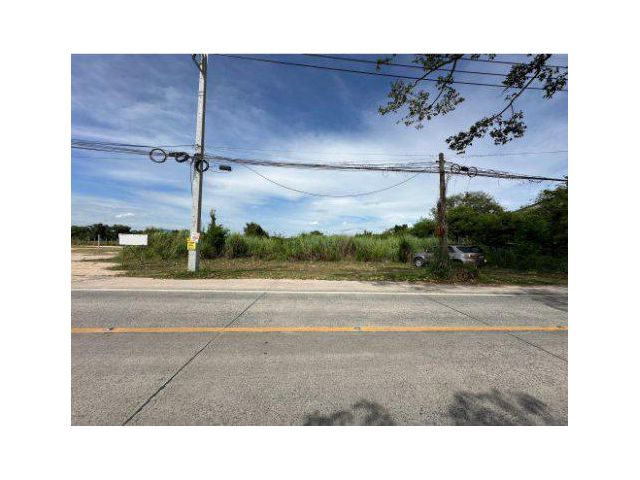 ขายที่ดิน 4 ไร่ ซอยนาพร้าว ต.บางพระ อ.ศรีราชา จ.ชลบุรี