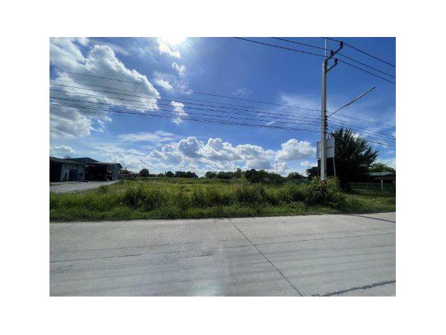 ขายที่ดิน 8 ไร่ ใกล้วัดสำนักบก ต.หนองซ้ำซาก อ.บ้านบึง จ.ชลบุรี