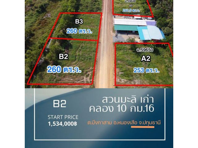 โครงการ สวนมะลิเก่า คลอง 10