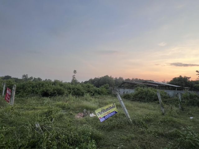 ที่ดินถมแล้ว 67.1 ตารางวา