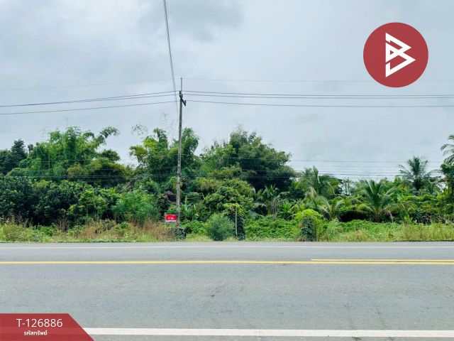 ขายที่ดิน เนื้อที่ 2 ไร 1 งาน 55 ตารางวา ต.นายม จ.เพชรบูรณ์ ติดถนนทางหลวง