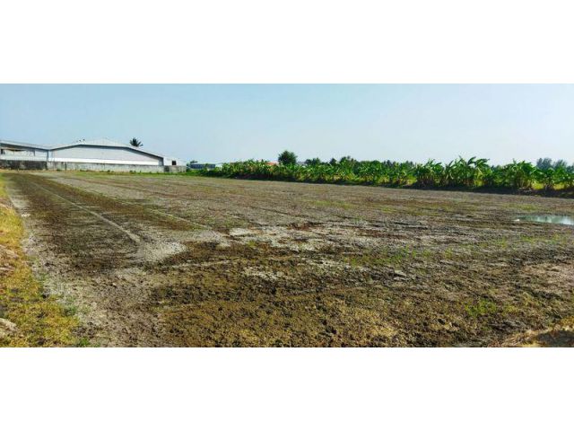 ที่ดิน สีม่วง สาย5นครปฐม