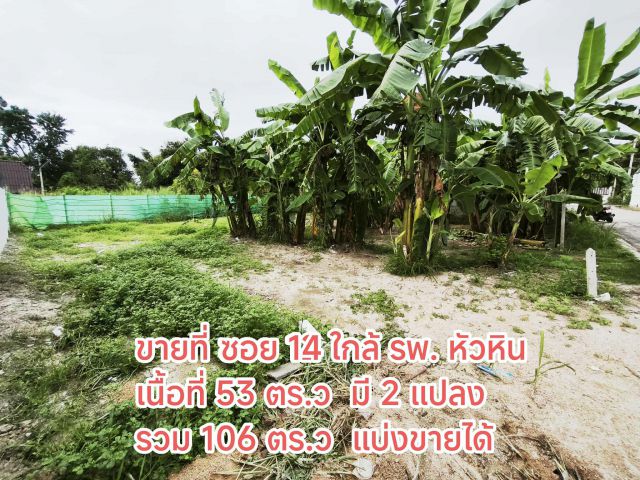 ขายที่ดิน