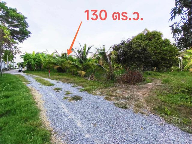 ขายที่ดินทำเลดี