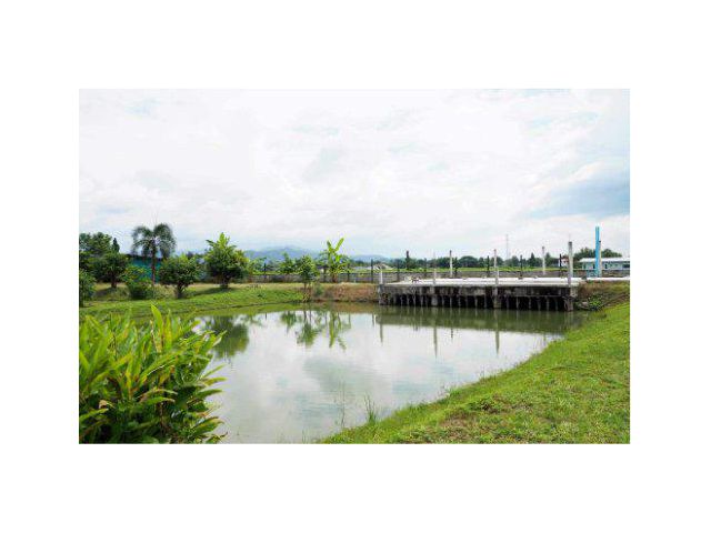 ขายที่ดินพร้อมสิ่งปลูกสร้าง 6 ไร่ บ้านร้องวัวแดง ต.ร้องวัวแดง อ.สันกำแพง จ.เชียงใหม่