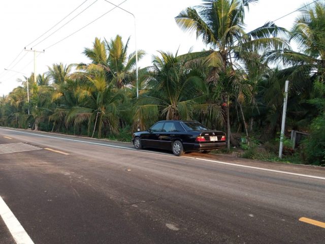 ขายด่วนที่ดินสวยมาก 8 ไร่เศษสวนมะพร้าวสวยติดถนนทางหลวง