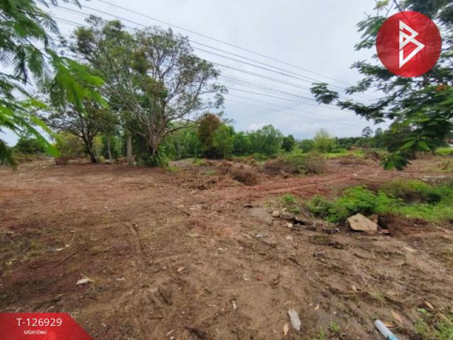 ขายที่ดิน เนื้อที่ 11 ไร่ 3 งาน 53 ตร.วา ท่าใหม่ จันทบุรี