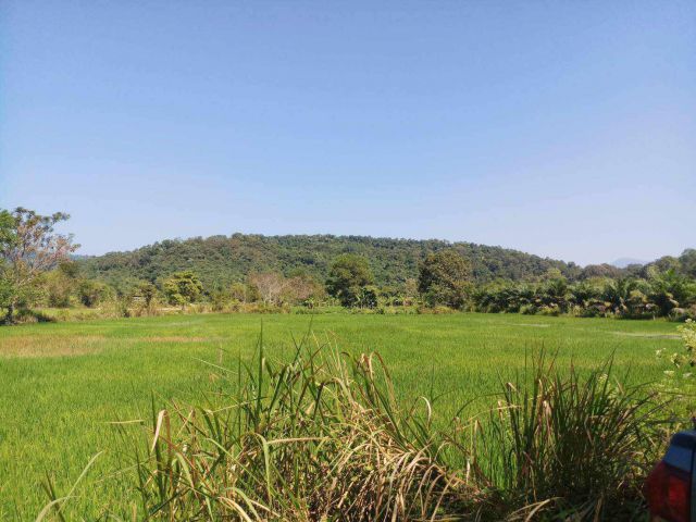 ขายที่ดิน 13 ไร่ ใกล้น้ำตก ต.สาริกา อ.เมืองนครนายก จ.นครนายก