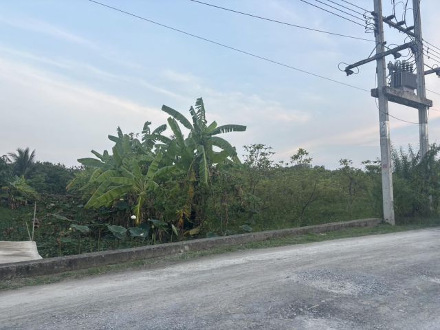 ขายที่ดินเปล่า 10 ไร่ 9 ตารางวา ต.ศาลายา อ.พุทธมณฑล จ.นครปฐม ถนนเชื่อมไปคลองโยง เลียบคลองตาหลี คลองมหาสวัสดิ์