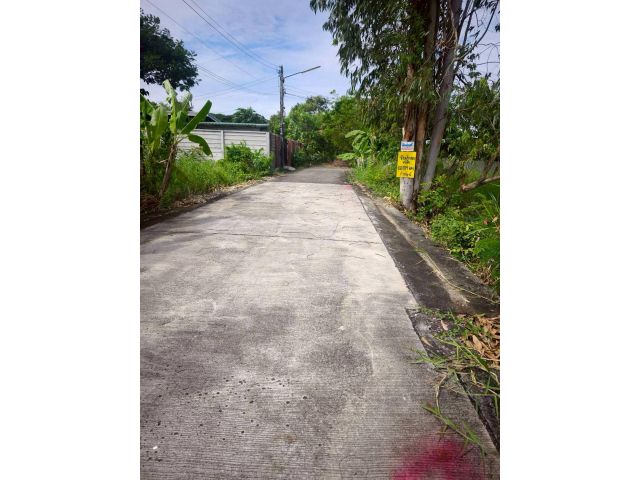 ขายถูกที่ดินซอยวัดไพร่ฟ้า 128 ตารางวา️ติดถนนคอนกรีตสาธารณะ เลียบคลองบางเดื่อ 8 เมืองปทุมธานี 083-462-8792