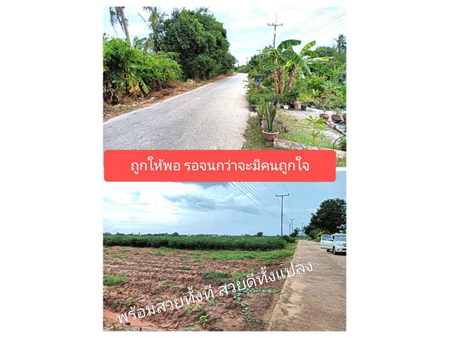 กล้าดียังงัยถึงได้ขายราคานี้ ถนนคอนกรีตน้ำไฟมีด้วย โฉนดพร้อมโอนด้วย ช่วยได้สารพัดไม่ขัดกับความต้องการ เสนอเพื่อตอบสนอง