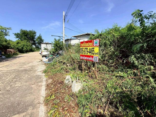 ขายถูกที่ดินซอยวัดไพร่ฟ้า 128 ตรว ติดถนนคอนกรีตสาธารณะ เลียบคลองบางเดื่อ 8 เมืองปทุมธานี