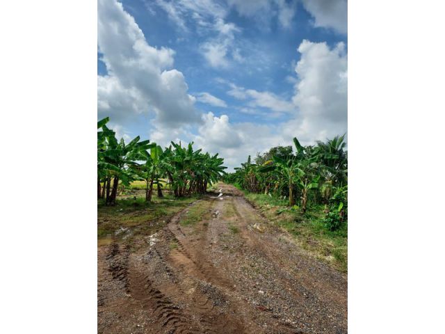 ขายขาดทุน ที่ดินโครงการสุทิดา 1 เนื้อที่ 2 ไร่ คลองเก้าตะวันตก หนองเสือ