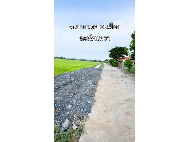 L1009 ขายที่ดิน 5 ไร่ เมืองฉะเชิงเทรา