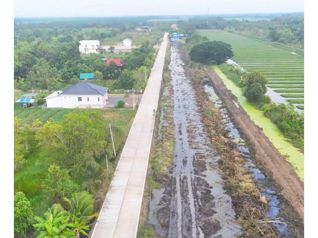 เหมาะปลูกบ้านมากๆ คลอง11 อ.หนองเสือ จ.ปทุมธานี