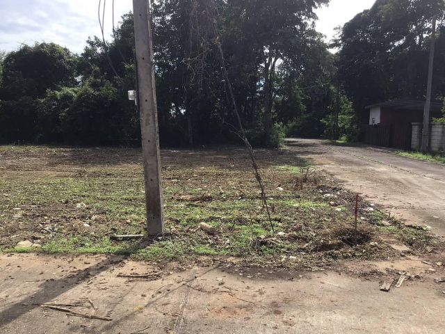 ที่ดินท่ารั้ว ดอยสะเก็ด เชียงใหม่ 95 ตารางวา