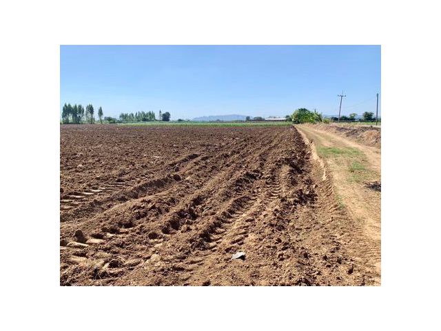 ขายที่ดิน16ไร่ ต.วังศาลา อ.ท่าม่วง แปลงสวย ทำเลดี แหล่งชุมชน ใกล้กรุงเทพ เดินทางสะดวก