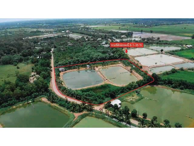 ขายที่ดิน ฉะเชิงเทรา